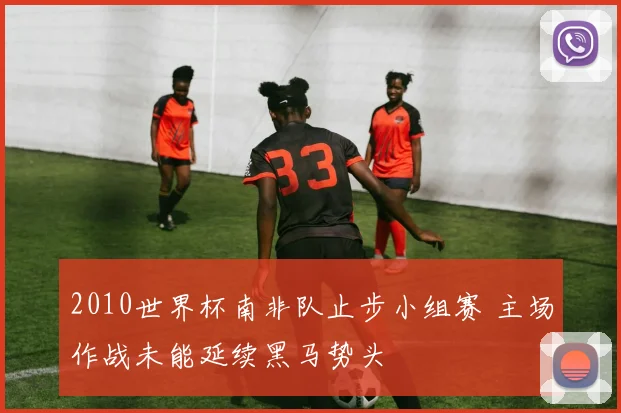 2010世界杯南非队止步小组赛 主场作战未能延续黑马势头
