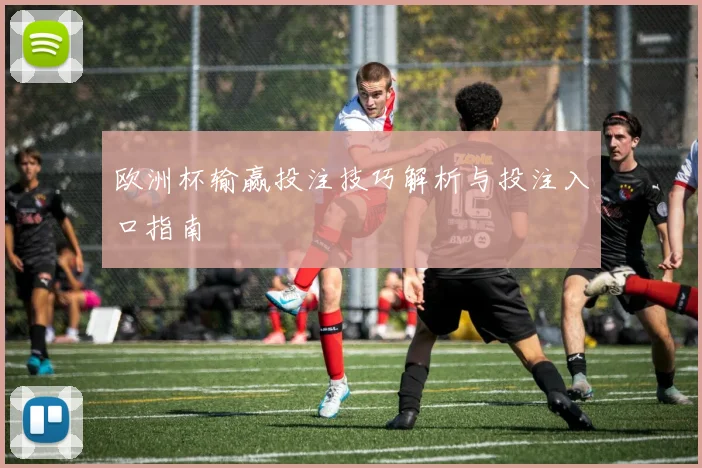 欧洲杯输赢投注技巧解析与投注入口指南
