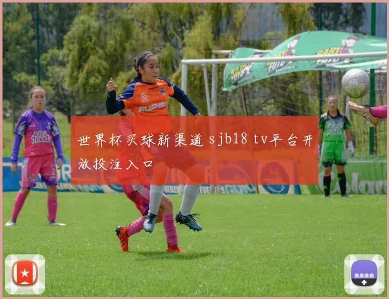 世界杯买球新渠道 sjb18 tv平台开放投注入口