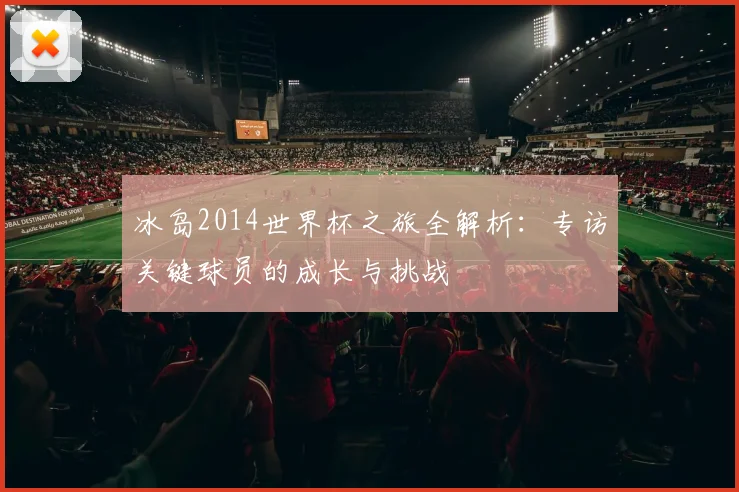 冰岛2014世界杯之旅全解析:专访关键球员的成长与挑战